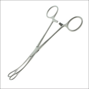 Sponge Forceps